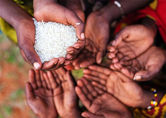 تورم داخلی قیمت مواد غذایی