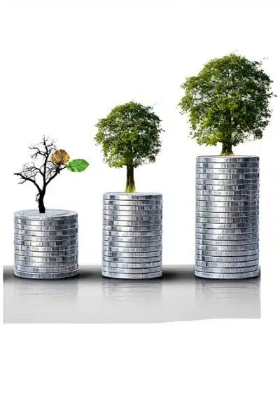 سبد سرمایه گذاری جهش