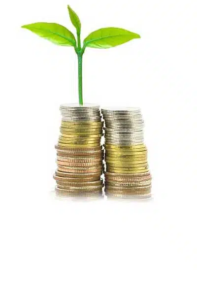 سبد سرمایه گذاری رویش